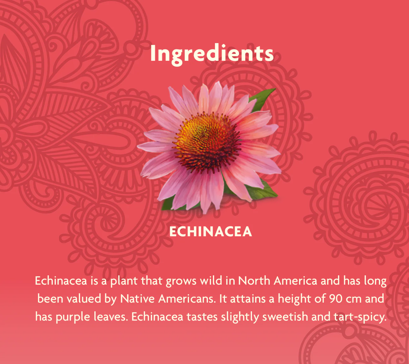 Yogi Herbal Tea 16 Bags, Echinacea Immune Support, Supports Immune Function - Image 3