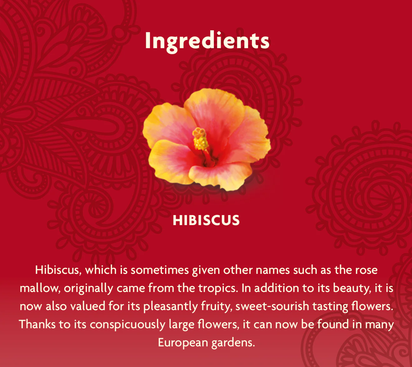 Yogi Tea Herbal Tea, Soothing Rose Hibiscus Skin DeTox 16 Bags - Image 3