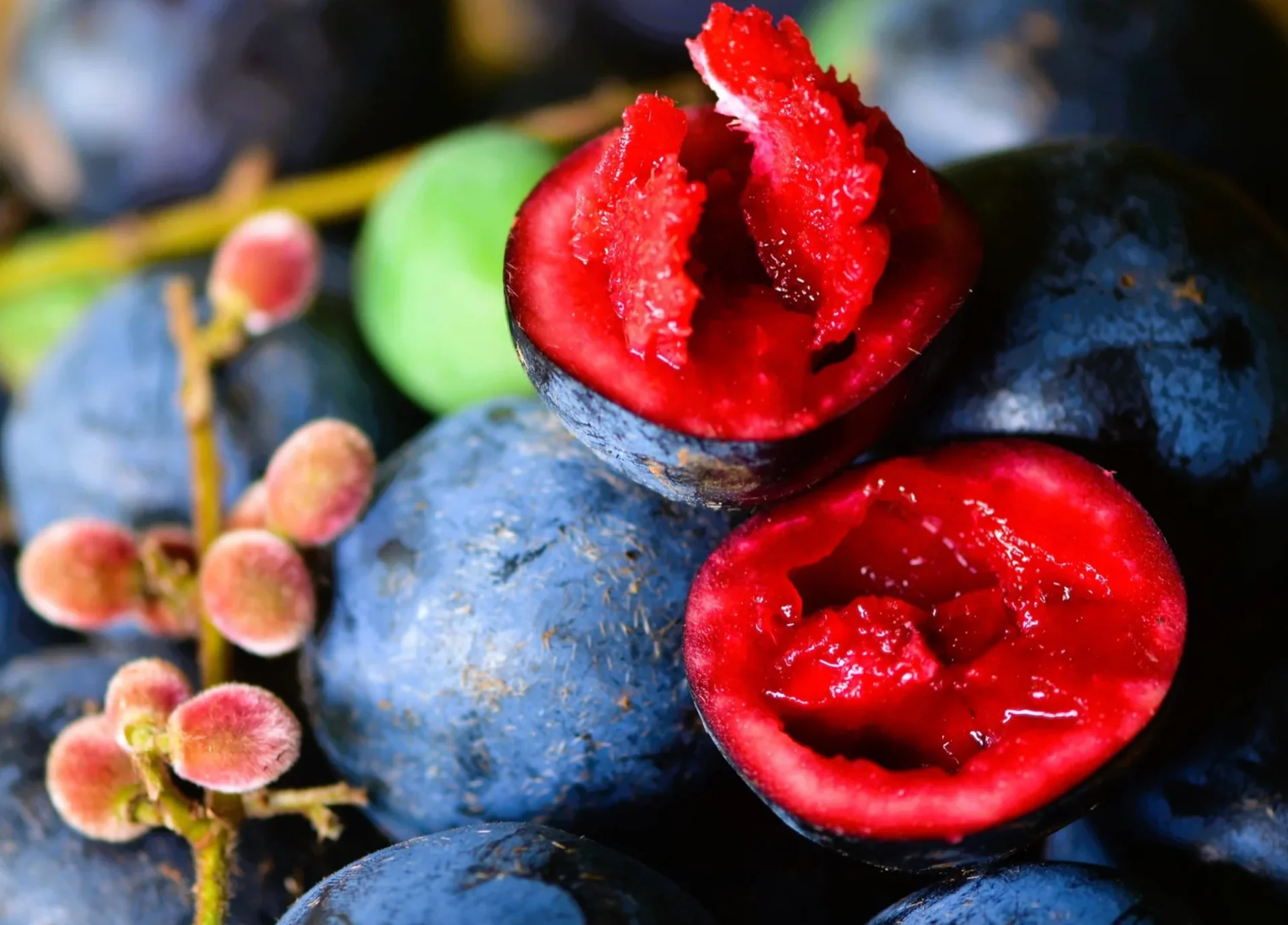 Ziggy's Wild Foods Native Davidson Plum & Rose Petal Shrub Cordial 200mL, Fermented & Gluten Free - Image 2