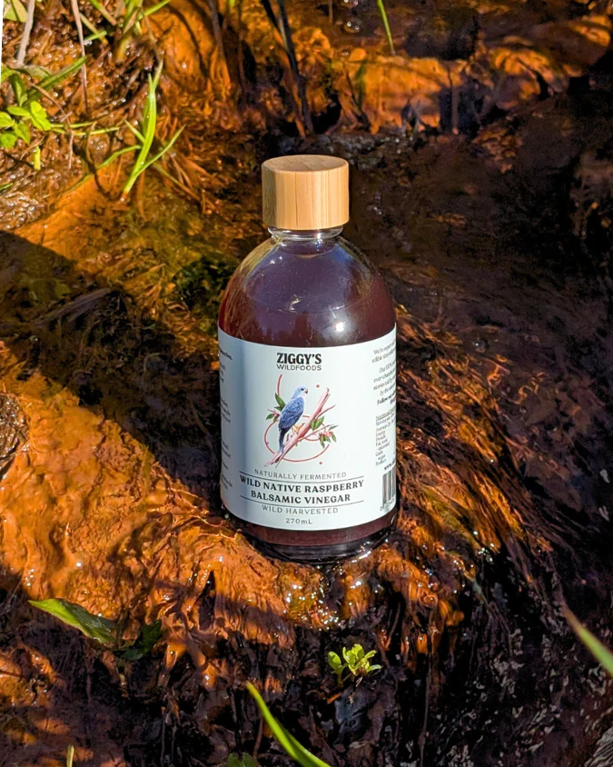 Ziggy's Wild Foods Wild Native Raspberry Balsamic Vinegar 270mL, Naturally Fermented & Wild Harvested